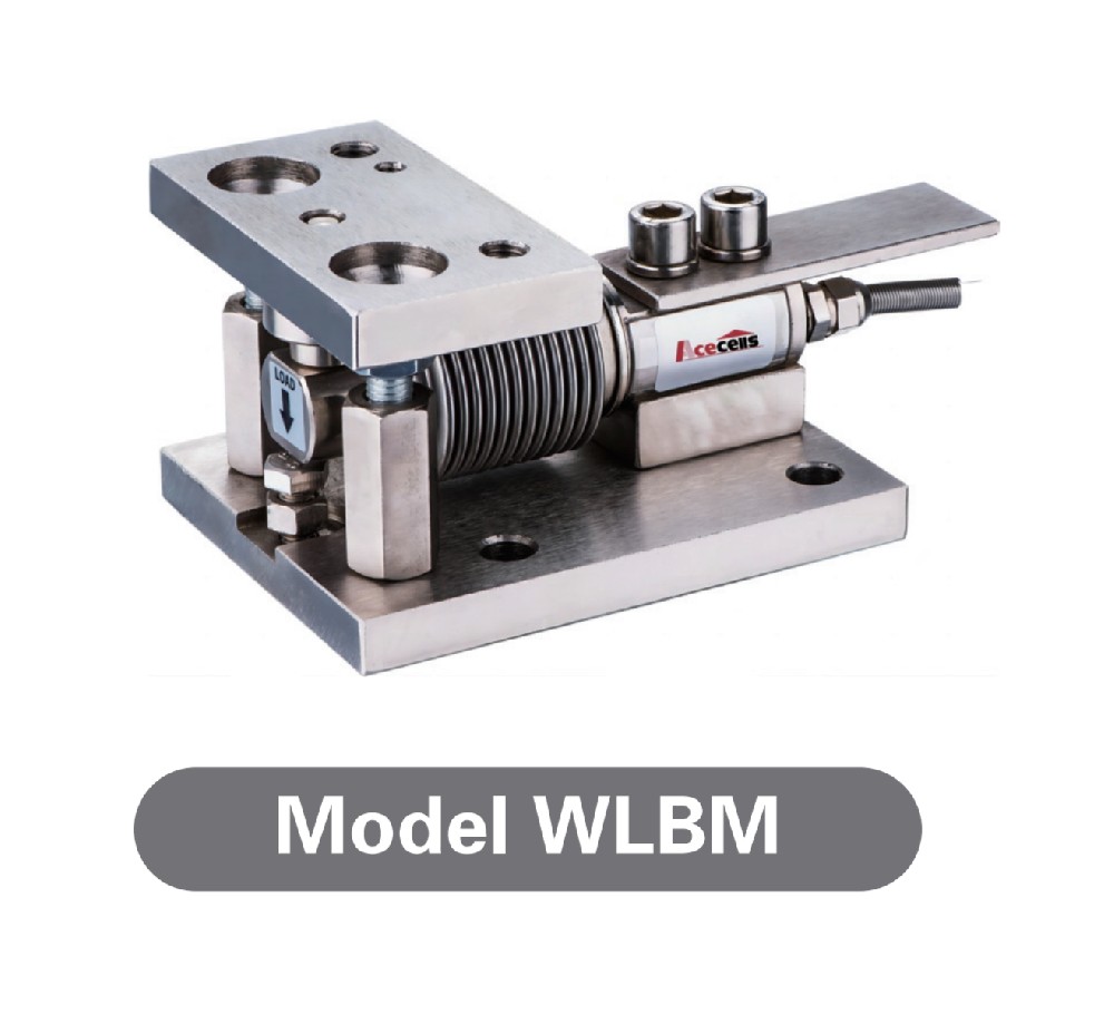 WLBM