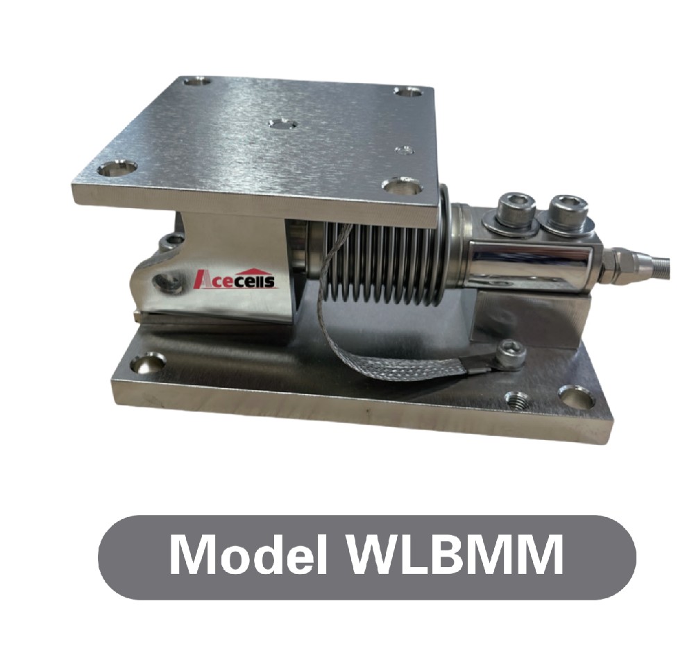 WLBMM